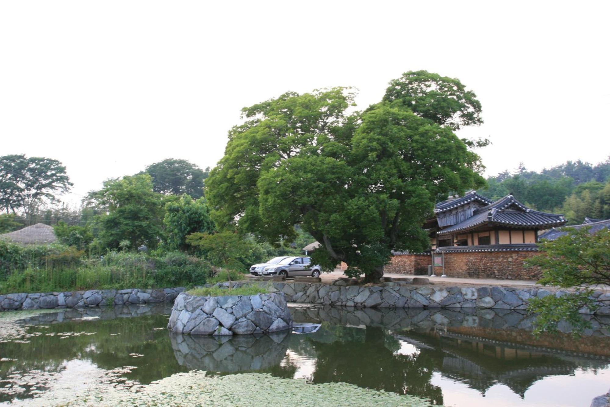 Jinrae Lee'S Traditional House Boseong Exterior foto